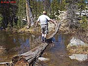 Click for large photo