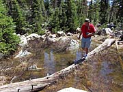 Click for large photo