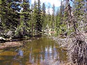 Click for large photo