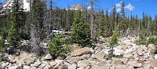 Click for large photo