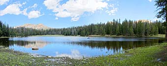 Click for large photo