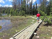 Click for large photo