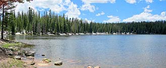 Click for large photo