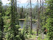 Click for large photo