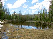 Click for large photo